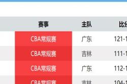 开云体育入口-职业篮球比赛中球员的表现分析