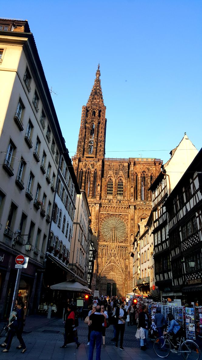 阿尔勒击败斯特拉斯堡,豪取三分 阿尔勒击败斯特拉斯堡,豪取三分